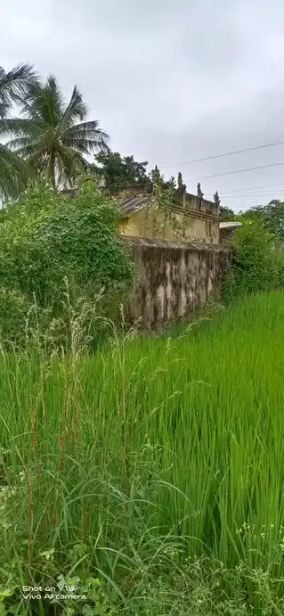 Arulmigu Perumal Temple, Paavakkal, Pavakkal - 635307 Temple