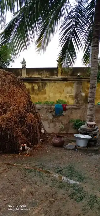 Arulmigu Perumal Temple, Paavakkal, Pavakkal - 635307 அருள்மிகு பெருமாள் திருக்கோயில், Paavakkal, Pavakkal - 635307, Krishnagiri - Ancient Temple Architecture and History Image 2