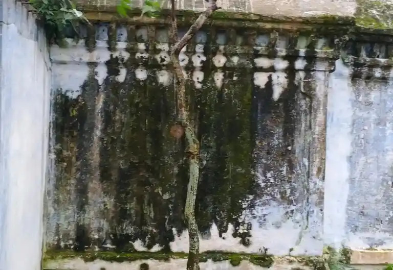 Arulmigu Perumal Temple, Paavakkal, Pavakkal - 635307 அருள்மிகு பெருமாள் திருக்கோயில், Paavakkal, Pavakkal - 635307, Krishnagiri - Ancient Temple Architecture and History Image 4