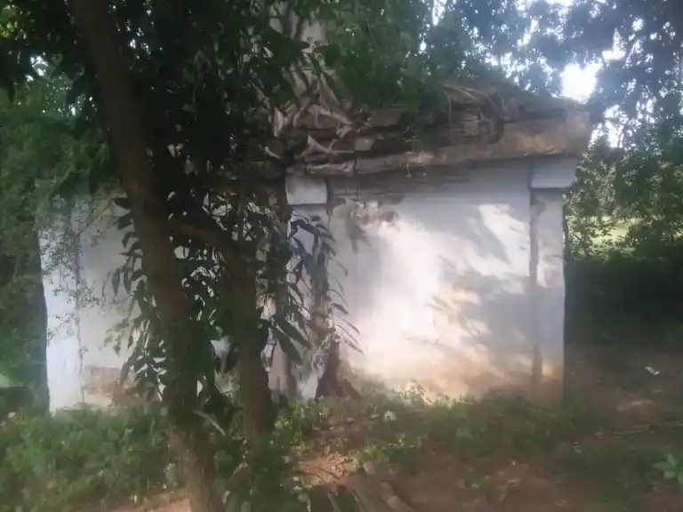 Arulmigu Perumal Temple, Periyapanamutlu - 635203 அருள்மிகு பெருமாள் திருக்கோயில், பெரிய பனமுட்லு - 635203, Krishnagiri - Ancient Temple Architecture and History Image 2