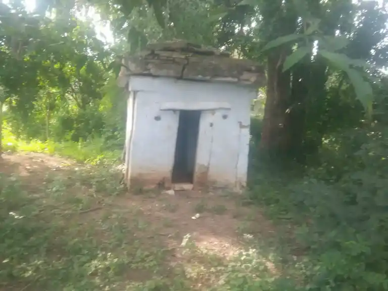 Arulmigu Perumal Temple, Periyapanamutlu - 635203 அருள்மிகு பெருமாள் திருக்கோயில், பெரிய பனமுட்லு - 635203, Krishnagiri - Ancient Temple Architecture and History Image 3