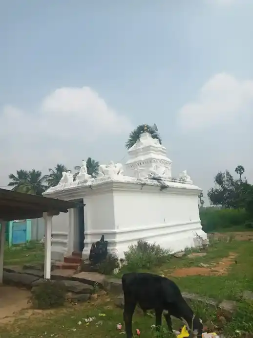 Arulmigu Perumal Temple, Pochamappli, Maylampatti - 635206 அருள்மிகு பெருமாள் திருக்கோயில், போச்சம்பள்ளி, மயிலம்பட்டி வடமலம்பட்டி - 635206, Krishnagiri - Ancient Temple Architecture and History Image 2