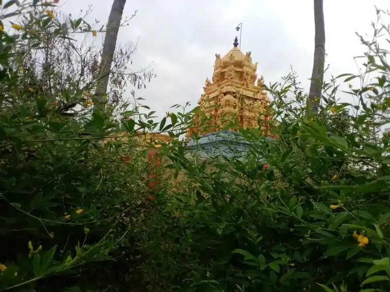 Arulmigu Perumal Temple, Psv Collage Near, Balinayanapalli - 635108 Temple