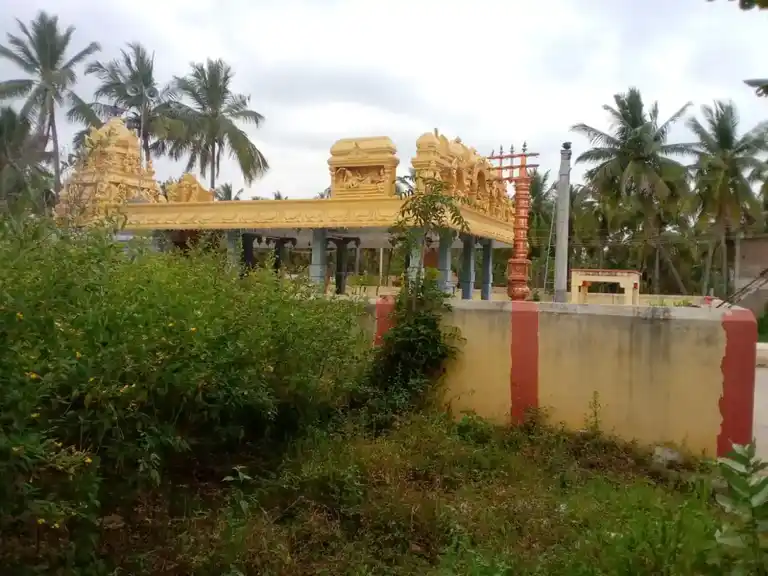 Arulmigu Perumal Temple, Psv Collage Near, Balinayanapalli - 635108 அருள்மிகு பெருமாள் திருக்கோயில், பாலிநாயனப்பள்ளி - 635108, Krishnagiri - Ancient Temple Architecture and History Image 3
