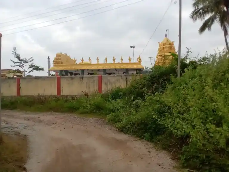 Arulmigu Perumal Temple, Psv Collage Near, Balinayanapalli - 635108 அருள்மிகு பெருமாள் திருக்கோயில், பாலிநாயனப்பள்ளி - 635108, Krishnagiri - Ancient Temple Architecture and History Image 4