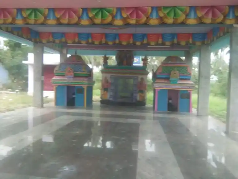 Arulmigu Perumal Temple, Psv College Near, Mittapalli - 635108 Temple