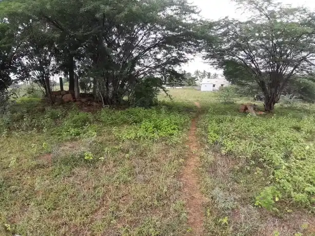 Arulmigu Perumal Temple, R. Pudukottai - 624706