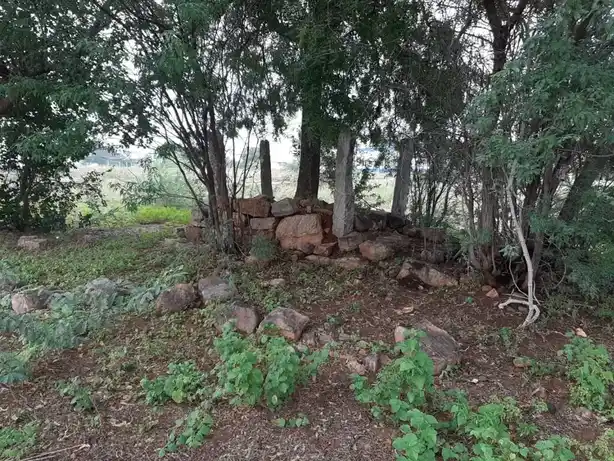 Arulmigu Perumal Temple, R. Pudukottai - 624706 Arulmigu Perumal Temple, R. Pudukottai - 624706, Dindigul - Ancient Temple Architecture and History Image 4