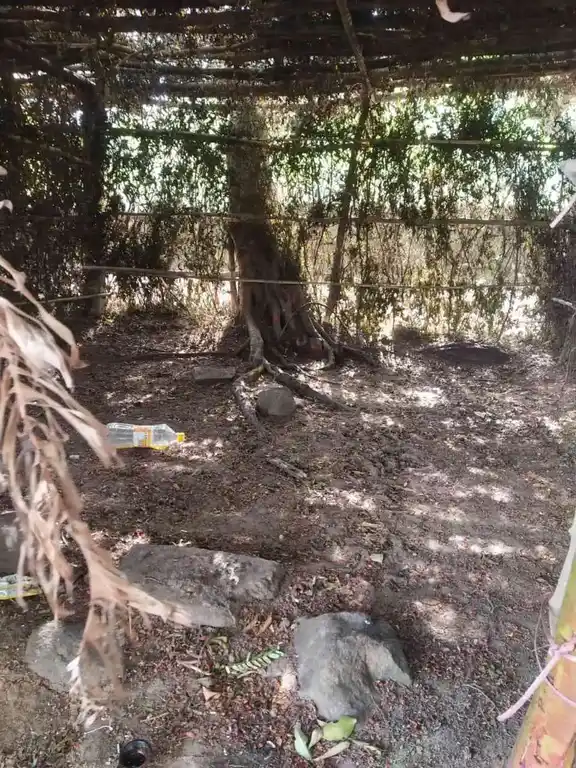 Arulmigu Perumal Temple, S Ammapalayam, Sitteri - 636903 அருள்மிகு பெருமாள் திருக்கோயில், S Ammapalayam, Sitteri - 636903, Dharmapuri - Ancient Temple Architecture and History Image 4