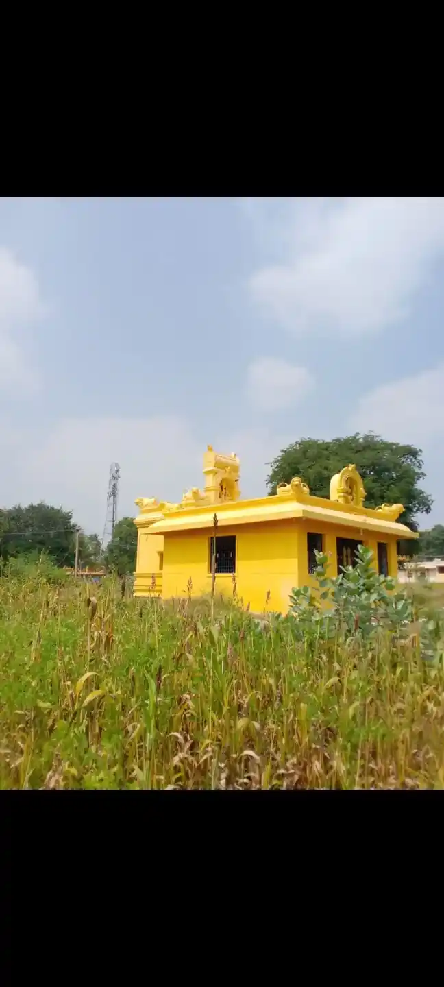 Arulmigu Perumal Temple, Salinayanipalli - 635104 Temple
