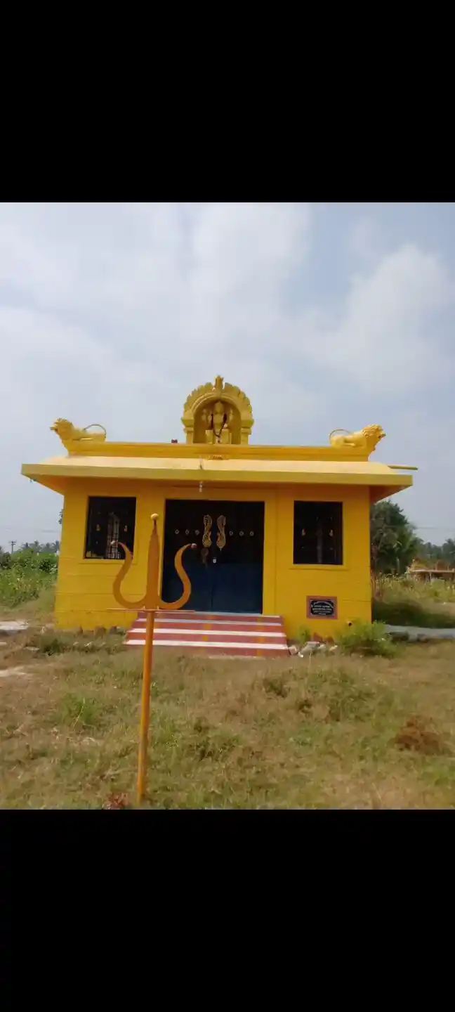 Arulmigu Perumal Temple, Salinayanipalli - 635104 அருள்மிகு பெருமாள் திருக்கோயில், சாலிநாயனப்பள்ளி - 635104, Krishnagiri - Ancient Temple Architecture and History Image 2