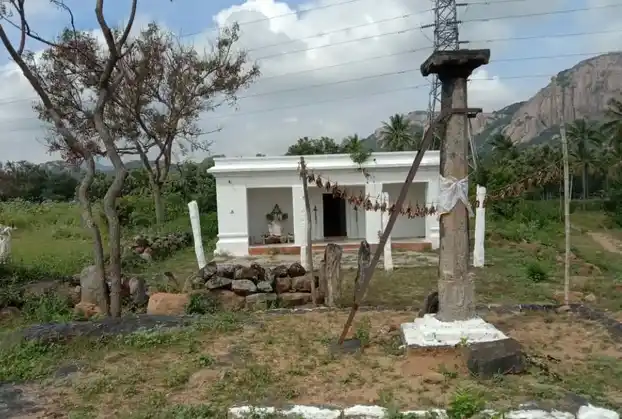 Arulmigu Perumal Temple, Seenivasapuram - 635203 Temple