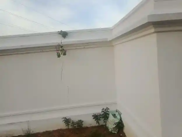 Arulmigu Perumal Temple, Seenivasapuram - 635203 அருள்மிகு பெருமாள் திருக்கோயில், சீணிவாசபுரம் - 635203, Krishnagiri - Ancient Temple Architecture and History Image 2