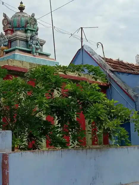 Arulmigu Perumal Temple, Sengulam, Sengulam - 627602 அருள்மிகு பெருமாள் திருக்கோயில், செங்குளம், செங்குளம் - 627602, Tirunelveli - Ancient Temple Architecture and History Image 2