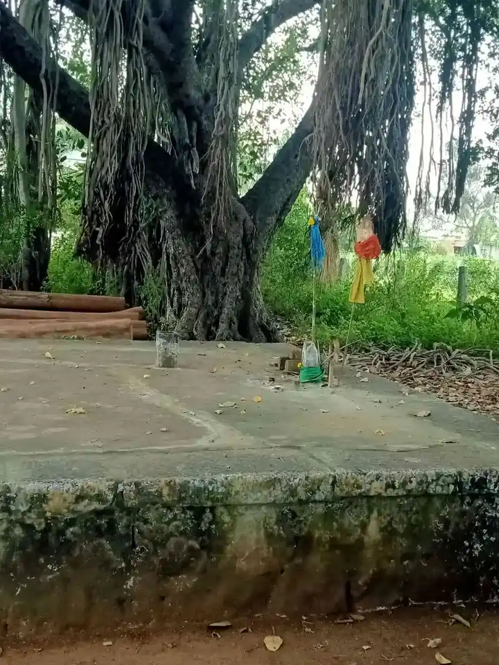 Arulmigu Perumal Temple, Sinthalakundu - 624002 அருள்மிகு பெருமாள் திருக்கோயில், Sinthalakundu - 624002, Dindigul - Ancient Temple Architecture and History Image 3