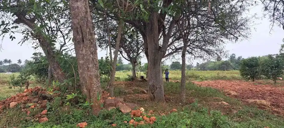 Arulmigu Perumal Temple, Sithuvarpatty - 624801