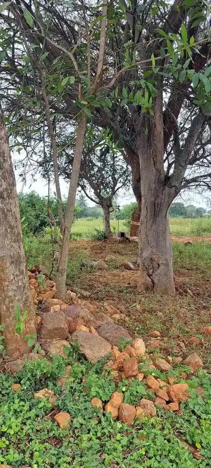 Arulmigu Perumal Temple, Sithuvarpatty - 624801 அருள்மிகு பெருமாள் திருக்கோயில், Sithuvarpatty - 624801, Dindigul - Ancient Temple Architecture and History Image 2