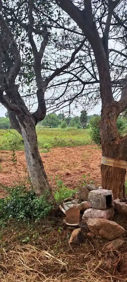 Arulmigu Perumal Temple, Sithuvarpatty - 624801 அருள்மிகு பெருமாள் திருக்கோயில், Sithuvarpatty - 624801, Dindigul - Ancient Temple Architecture and History Image 6