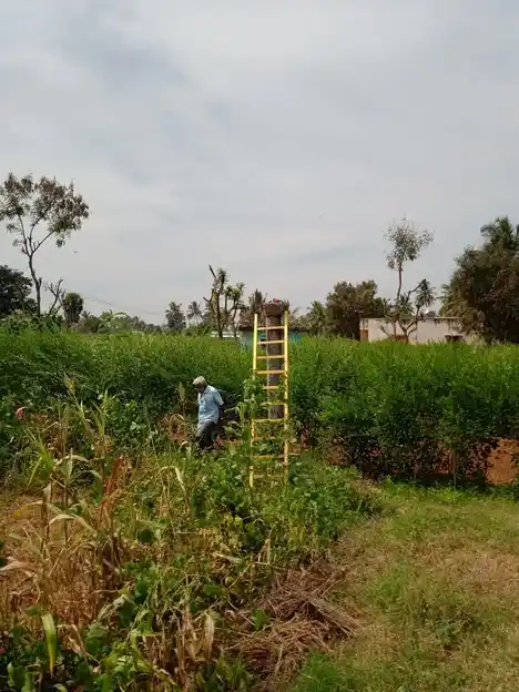 Arulmigu Perumal Temple, Sitiganahalli - 636808 Arulmigu Perumal Temple, Sitiganahalli - 636808, Dharmapuri - Ancient Temple Architecture and History Image 2