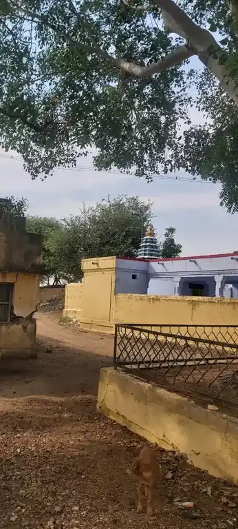 Arulmigu Perumal Temple, Sivagnanapuram - 628907 அருள்மிகு பெருமாள் திருக்கோயில், Sivagnanapuram - 628907, Thoothukudi - Ancient Temple Architecture and History Image 3