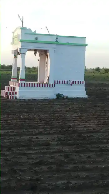 Arulmigu Perumal Temple, T. Shanmugapuram - 628802