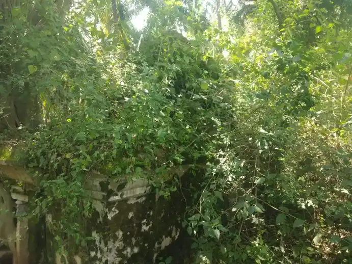 Arulmigu Perumal Temple, Tahlihalli - 635112 அருள்மிகு பெருமாள் திருக்கோயில், தளிஹள்ளி - 635112, Krishnagiri - Ancient Temple Architecture and History Image 2