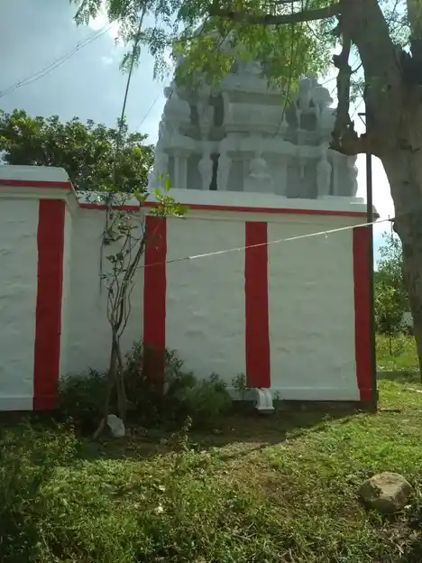 Arulmigu Perumal Temple, Thamuleari Muthur - 635853