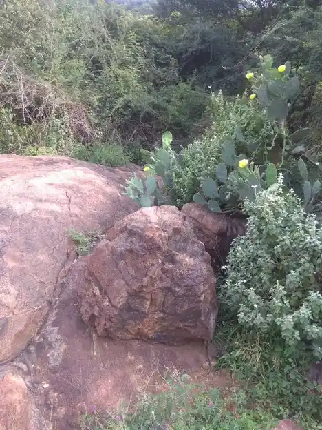 Arulmigu Perumal Temple, Thettur Mettupatti - 625503