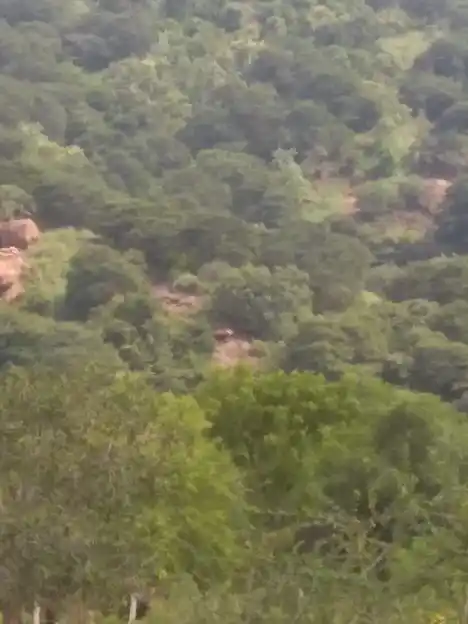 Arulmigu Perumal Temple, Thettur Mettupatti - 625503 அருள்மிகு பெருமாள் திருக்கோயில், தேத்தூர் மேட்டுப்பட்டி - 625503, Madurai - Ancient Temple Architecture and History Image 2