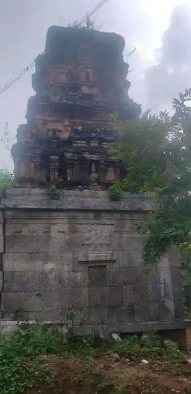 Arulmigu Perumal Temple, Thimmampettai - 635801 அருள்மிகு பெருமாள் திருக்கோயில், திம்மாம்பேட்டை - 635801, Thirupathur - Ancient Temple Architecture and History Image 5