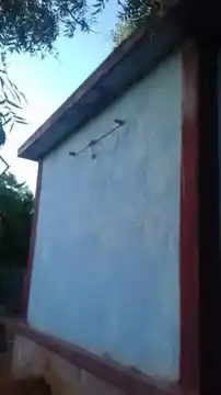 Arulmigu Perumal Temple, Tiruchendur - 628151