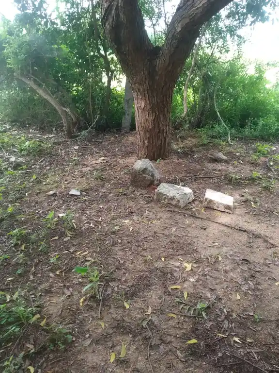 Arulmigu Perumal Temple, Valayapatti - 625022 பெருமாள் திருக்கோயில், Valayapatti - 625022, Madurai - Ancient Temple Architecture and History Image 2