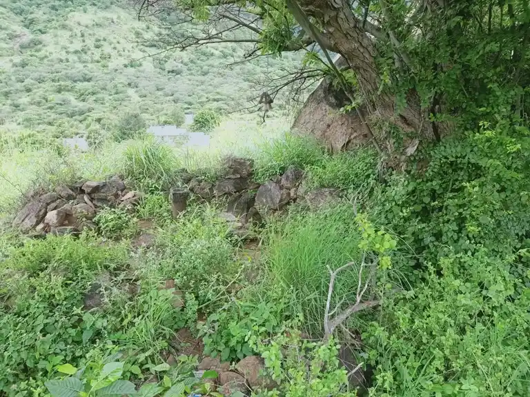 Arulmigu Perumal Temple, Vandari - 625705 அருள்மிகு பெருமாள் திருக்கோயில், Vandari - 625705, Madurai - Ancient Temple Architecture and History Image 3