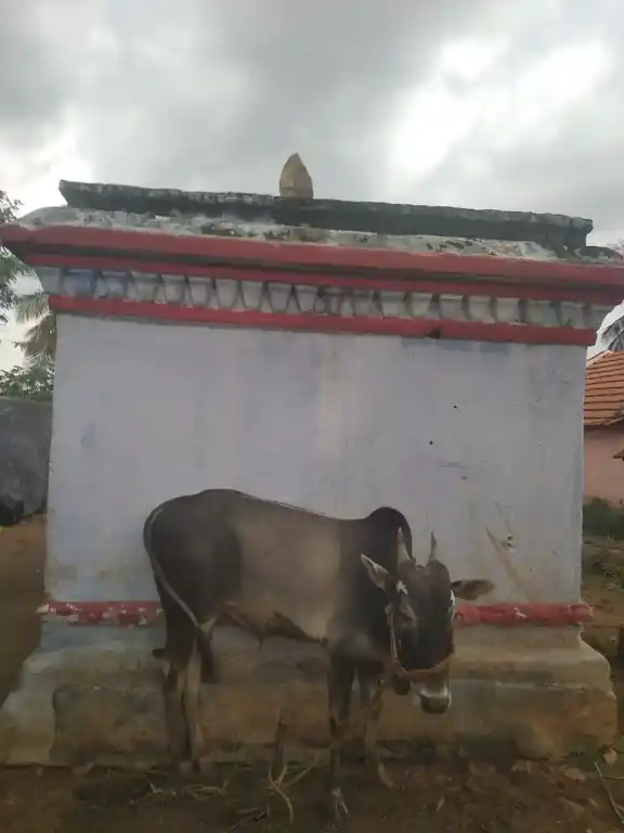 Arulmigu Perumal Temple, Varattanapatti, Panagamuttlu - 635106 அருள்மிகு பெருமாள் திருக்கோயில், வரட்டனம்பட்டி - 635106, Krishnagiri - Ancient Temple Architecture and History Image 4