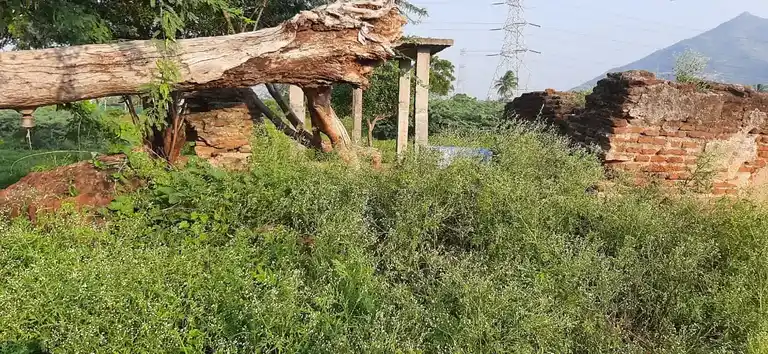 Arulmigu Perumal Temple, Venkadasthiri Kottai - 624202 Arulmigu Perumal Temple, Venkadasthiri Kottai - 624202, Dindigul - Ancient Temple Architecture and History Image 3