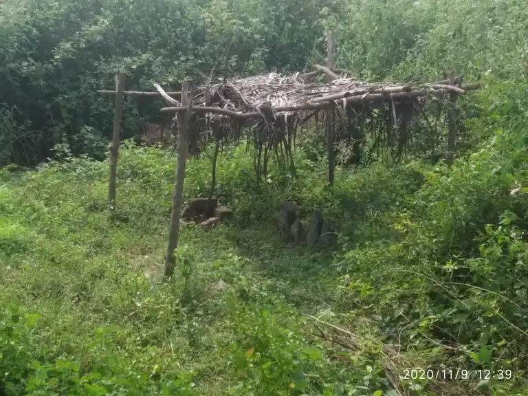 Arulmigu Perumal Temple, Veppampatti - 636903 அருள்மிகு பெருமாள் திருக்கோயில், Veppampatti - 636903, Dharmapuri - Ancient Temple Architecture and History Image 2