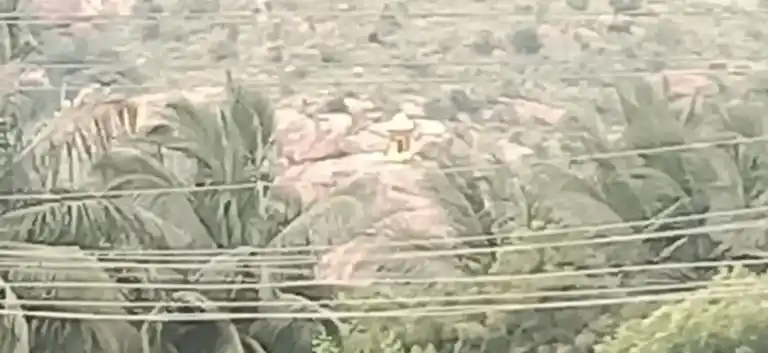 Arulmigu Perumal Temple, Villani - 625532 அருள்மிகு பெருமாள் திருக்கோயில், Villani - 625532, Madurai - Ancient Temple Architecture and History Image 4