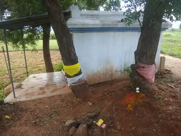 Arulmigu Perumal Temple, Viruveedu - 624220