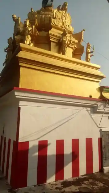 Arulmigu Perumal Vagaiyara Temple, Periyakamiyam Pattu - 635851 அருள்மிகு பெருமாள் வகையறா திருக்கோயில், பெரியகம்மியம்பட்டு - 635851, Thirupathur - Ancient Temple Architecture and History Image 4