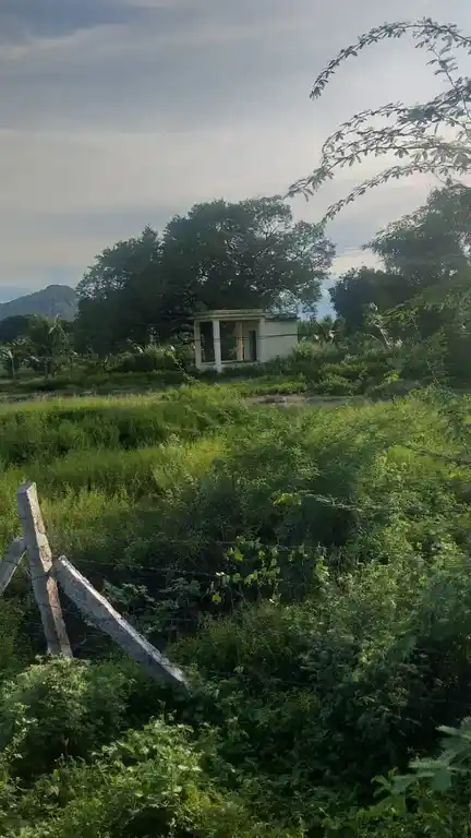 Arulmigu Perumalsamy Temple, Pothampatti - 625532