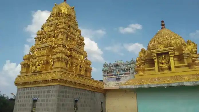 Arulmigu Perumalsamy Temple, Purasaikattur Sembulichampalayam, Purasaikattur Sembulichampalayam - 638312 அருள்மிகு கரியபெருமாள் திருக்கோயில், Purasaikattur Sembulichampalayam, Purasaikattur Sembulichampalayam - 638312, Erode - Ancient Temple Architecture and History Image 3