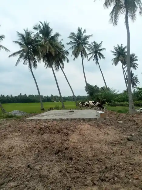 Arulmigu Perumalswamy Temple, Chandapuram - 635112 Temple