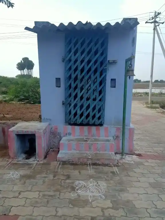 Arulmigu Perumalswamy Temple, Gopalasamudram - 627451