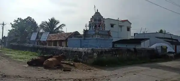 Arulmigu Perummal Temple, Sirunila - 621117 அருள்மிகு பெருமாள் திருக்கோயில், Sirunila - 621117, Perambalur - Ancient Temple Architecture and History Image 3