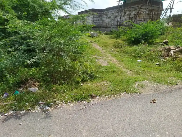 Arulmigu Pesum Perumal Temple, Paravai - 621717