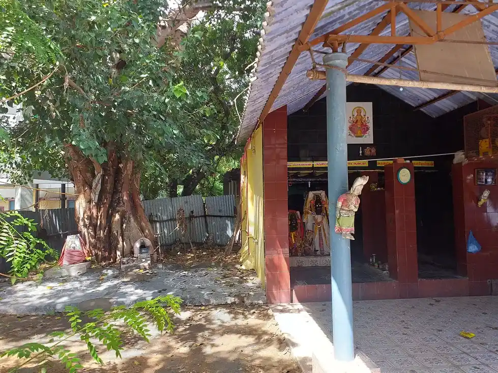 Arulmigu Petchiamman Temple, Kulasekarapattanam - 628206 அருள்மிகு பேச்சியம்மன் திருக்கோயில், Kulasekarapattanam - 628206, Thoothukudi - Ancient Temple Architecture and History Image 2