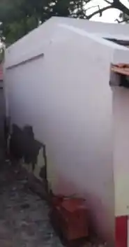 Arulmigu Petchiamman Temple, Melmandai - 628901 அருள்மிகு பேச்சியம்மன் திருக்கோயில், Melmandai - 628901, Thoothukudi - Ancient Temple Architecture and History Image 2