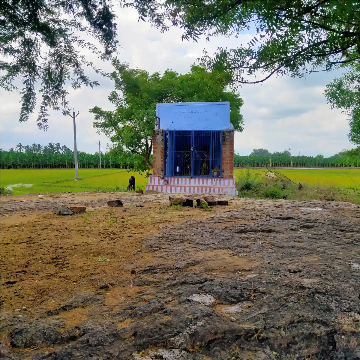 Arulmigu Petchiamman Temple, Nainarkulam - 627452
