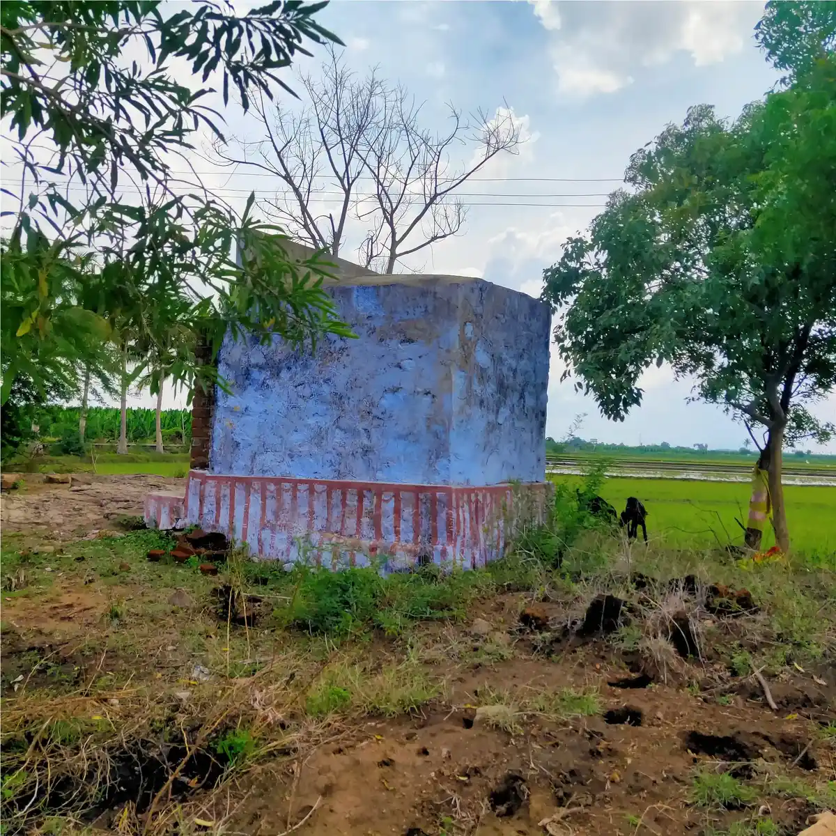 Arulmigu Petchiamman Temple, Nainarkulam - 627452 அருள்மிகு பேச்சியம்மன் திருக்கோயில், Nainarkulam - 627452, Tirunelveli - Ancient Temple Architecture and History Image 4