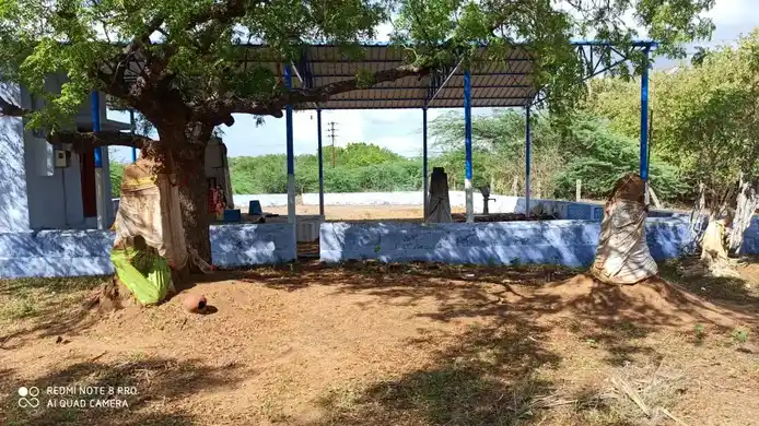 Arulmigu Petchiamman Temple, Serakulam - 628802 அருள்மிகு பேச்சியம்மன் மற்றும் சுடலை மாடசுவாமி திருக்கோயில், Serakulam - 628802, Thoothukudi - Ancient Temple Architecture and History Image 2